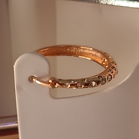 CHRYSTINA GENUINE CRYSTAL HOOP EARRINGS - Picture 3 of 13